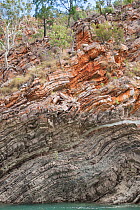 Banding and folding of rock on cliff above Cyclone Creek. Talbot Bay, The Kimberley, Western Australia. 2015.