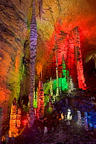 Stalagmites lit by coloured lights in Huanglong / Yellow Dragon Cave. Hunan Province, China. 2010.