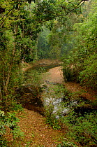 Sancha River flowing through tropical rainforest in dry season. Wild Elephant Valley, Xishuangbanna National Nature Reserve, Yunnan Province, China. April 2007.
