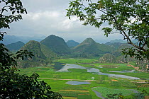 Wetland with cultivated areas of rice, Sacred lotus (Nelumbo nucifera) and other crops. Peaks in background, view from Jade Dragon Peak. Puzhehei National Wetland Park, Yunnan Province, China, 2009.