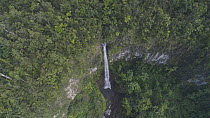 Drone shot of Middleham Falls surrounded by tropical forest, Morne Trois Pitons National Park, Dominica, 2019.