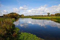 Clouds reflected in River Avon, Fool&#39;s watercress (Apium nodiflorum) on bank. Avon Valley SSSI, Dorset, England, UK. September 2018.