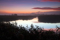 Pool and reedbeds at sunrise with Glastonbury Tor in background. Ham Wall RSPB Reserve, Avalon Marshes, Somerset Levels, England, UK, October 2018