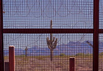 Border wall with razor wire at the Mexican / United States border in Arizona, where the newer taller sections of the border wall pushed by President Trump are being erected in the environmentally sens...