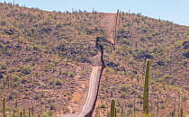 Landscape at the older Mexican / United States border wall in Arizona. Newer taller sections of the border wall pushed by President Trump are being erected in this environmentally sensitive Organ Pipe...