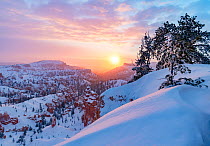 Landscape of hoodoos in snow at sunrise, Bryce Canyon National Park, Utah, USA, January.