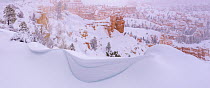 Winter snow storms cause wind-blown drifting along the canyon rim, Bryce Canyon National Park, Utah, USA, January.