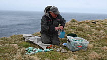 Man sorting seabird eggs, including those of Common guillemots (Uria aalge) into egg boxes, Skoruvikurbjarg cliffs, Langanes Peninsula, Iceland, May.