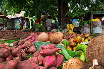 Fruits and vegetables for sale at produce market, includes Banana, Sweet potato, Taro and Kumara. Kirakira, Makira Island, Solomon Islands.