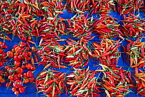 Chili peppers (Capsicum sp) for sale at produce market. Honiara, Guadalcanal, Solomon Islands. 2018.