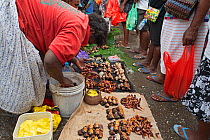 Crabs for sale at produce market. Honiara, Guadalcanal, Solomon Islands. 2018.