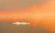 Floating iceberg in golden evening light, Svalbard, Norway.