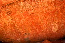 Anangu rock art engravings in sandstone. Base of Uluru / Ayers Rock, Uluru-kata Tjuta National Park, Northern Territory, Australia. 2014.