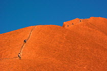People climbing up Uluru / Ayers Rock, as of 2019 climbing up the rock is no longer permitted. Uluru-kata Tjuta National Park, Northern Territory, Australia. 2014.