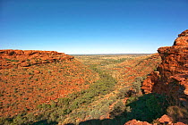 Kings Creek and sandstone cliffs, viewed from Kings Canyon Rim walk. Watarrka National Park, Northern Territory, Australia. 2014.
