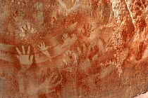 Rock art with stencilled hands and boomerangs. The Art Gallery, 62m of rock with 2000 stencils, engravings and paintings. Baloon Cave, Carnarvon Gorge, Carnarvon National Park, Queensland. 2014.