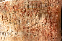 Rock art with stencilled hands, engravings including vulvas and some graffiti. Within The Art Gallery, 62m of rock with 2000 stencils, engravings and paintings. Baloon Cave, Carnarvon Gorge, Carnarvon...