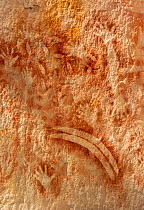 Rock art with stencilled hands and boomerang. The Art Gallery, 62m of rock with 2000 stencils, engravings and paintings. Baloon Cave, Carnarvon Gorge, Carnarvon National Park, Queensland. 2014.