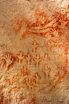 Rock art with stencilled hands, boomerangs and animal footprints . The Art Gallery, 62m of rock with 2000 stencils, engravings and paintings. Baloon Cave, Carnarvon Gorge, Carnarvon National Park, Que...