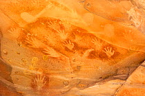 Stencilled handprint rock art. Baloon Cave, Carnarvon Gorge, Carnarvon National Park, Queensland. 2014.