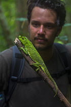 Man with Hump-nosed / lyreshead lizard (Lyriocephalus scutatus),Sinharaja Forest Reserve, Unesco Biosphere Reserve and World Heritage Site, Sri Lanka. Endemic.