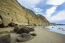 Stratified cliffs of sandstone, river gravel, pumice and silt, originally deposited between 300,000 to 1 million years ago at Cape Kidnappers, Hawke&#39;s Bay, North Island, New Zealand.