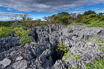 Rock formations at Tsingy Maeva, Ankarana NP, Madagascar.