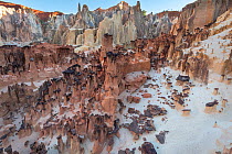 Ankarokaroka canyon, Ankarafantsika NP, Madagascar.