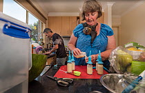 Wildlife carer Julie Malherbe preparing breakfast for orphaned Grey-headed flying-foxes (Pteropus poliocephalus) whilst another wildlife rescuer, Graeme Linsell, doing the dishes. Heidelberg Heights,...