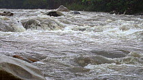 Slow motion clip of the Rio Abanico in flood, Amazonian slopes of the Andes, Morona Santiago Province, Ecuador. (non-ex)