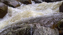 Slow motion clip of the Rio Abanico cascading over boulders, Amazonian slopes of the Andes, Morona Santiago Province, Ecuador. (non-ex)