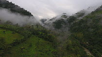 Aerial shot ascending over misty cloudforest and pastures, Toachi Valley, Santo Domingo Province, Ecuador, February 2018. (non-ex)