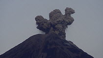 Reventador Volcano erupting at dawn, Ecuador, 2017. The mountain has been in a constant state of eruption since 2002. (non-ex)