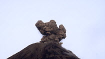 Reventador Volcano erupting at dawn, Ecuador, 2017. The mountain has been in a constant state of eruption since 2002.