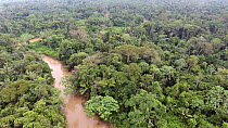 Aerial shot descending towards the Amazon rainforest, near Rio Shiripuno in Pastaza Province, Ecuador, 2017. (non-ex)