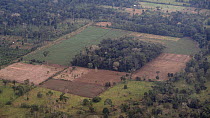 Aerial view of an island of uncut rainforest surrounded by farmland near the town of Coca, Orellana Province, Ecuadorian Amazon, 2018. (non-ex)