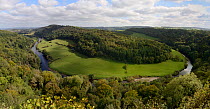 Forest of Dean and River Wye overview from Symond&#39;s Yat Rock, with primarliy deciduous trees, close to sites for Pine Marten (Martes martes) releases by the Forest of Dean and River Wye Pine Marte...