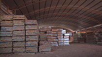Warehouse containing finished tinished timber cut from the Amazon rainforest, Brazil, June 2019.