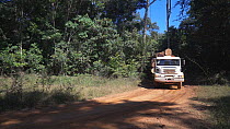 Logging truck carrying trees cut from a newly deforested area of the Amazon rainforest, Brazil, 2019.