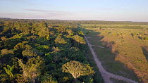 Drone shot tracking over the frontier between Amazon rainforest and a cattle ranch, showing deforestation, Brazil, 2019.