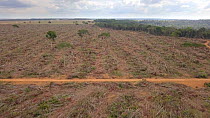 Drone shot tracking over the frontier between Amazon rainforest and a logged area, showing deforestation, Brazil, 2019.