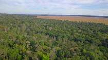 Drone shot tracking over the frontier between the Amazon rainforest and large agricultural fields of maize, showing areas of forest loss, Brazil, 2019.