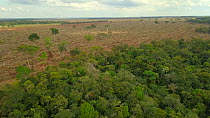 Drone shot tracking over recently logged and cleared Amazon rainforest, showing frontier with remaining forest, Rondonia, Brazil, 2019.