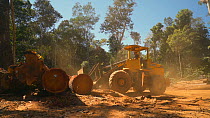 Loader stacking trees cut from the Amazon rainforest in a logging camp, Rondonia, Brazil, 2019.
