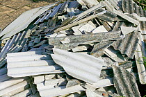 White asbestos dumped in a garden contravening local authority guidelines about safe removal.