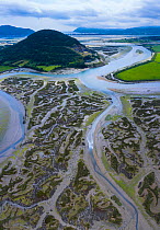 Tidal marsh at low tide, aerial view. Santona, Victoria and Joyel Marshes Natural Park, Escalante, Cantabria, Spain. June 2019.