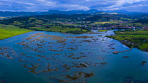 Tidal marsh at low tide with hills in background, aerial view. Santona, Victoria and Joyel Marshes Natural Park, Cantabria, Spain. June 2019.