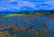 Tidal marsh at low tide with hills in background, high angle view. Santona, Victoria and Joyel Marshes Natural Park, Cantabria, Spain. June 2019.