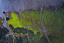 Tidal marsh at low tide, aerial view. Santona, Victoria and Joyel Marshes Natural Park, Cantabria, Spain. May 2019.