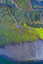 Estuary and tidal marsh at low tide, aerial view. Santona, Victoria and Joyel Marshes Natural Park, Cantabria, Spain. May 2019.